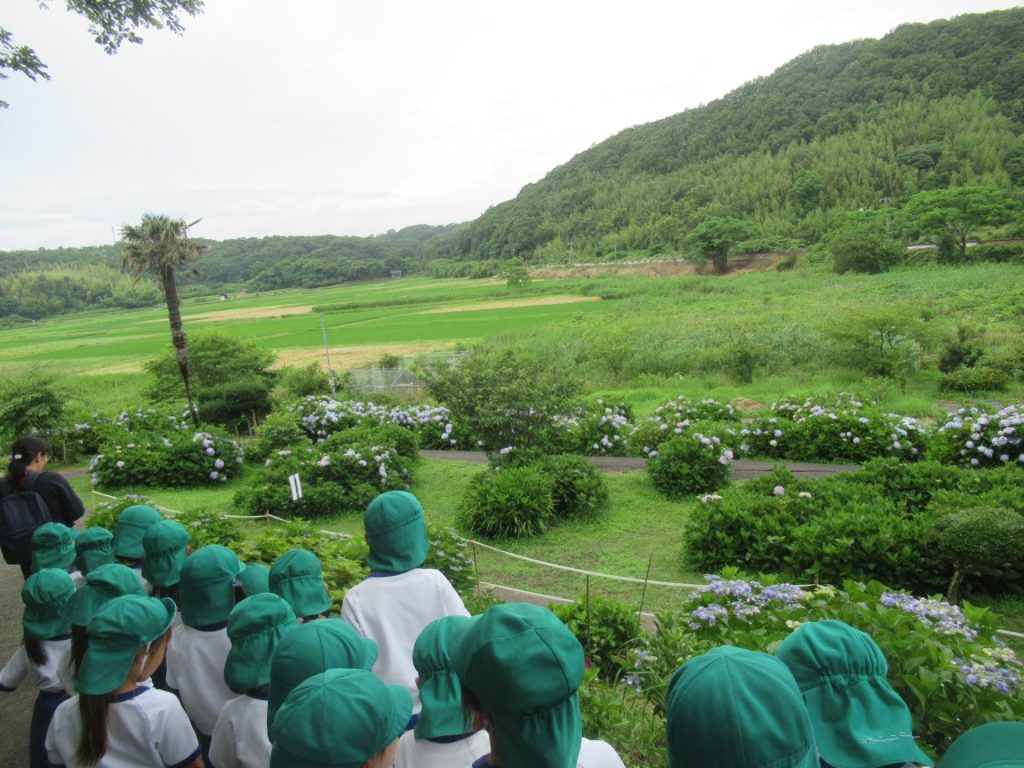 あじさい公園